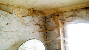 Extermination d'araignée dans une chambre d'une personne Diogène remplie de toiles d'araignées à Bruxelles