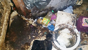 Nettoyage et désinfection Diogène de toilette insalubre dans une maison insalubre à Bruxelles