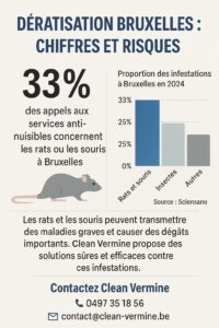 Dératisation à Bruxelles : chiffres récents et solutions Clean Vermine. Infographie sur la dératisation à Bruxelles en 2025 : statistiques sur les infestations de rats, risques sanitaires et solutions proposées par Clean Vermine.